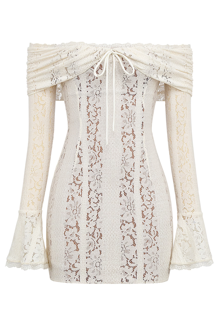 Anaya - Lace Mini Dress Olivia The Label